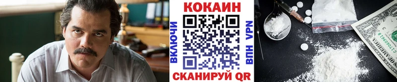 Купить где  Свирск  КОКАИН FishScale 